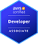AWS Developer
